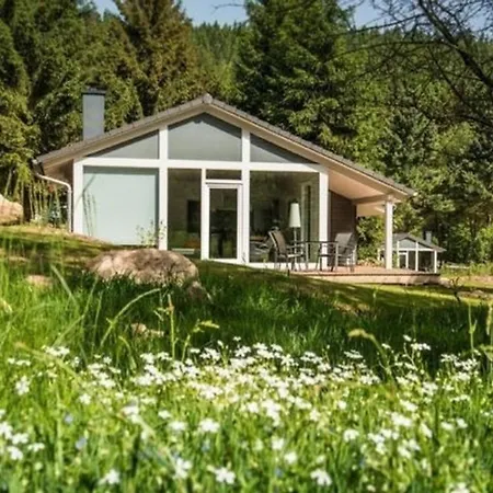Holiday home Nettes Ferienhaus In Mit Garten, Grill Und Sauna Ruhla