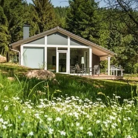 Nettes Ferienhaus In Mit Garten, Grill Und Sauna Holiday home